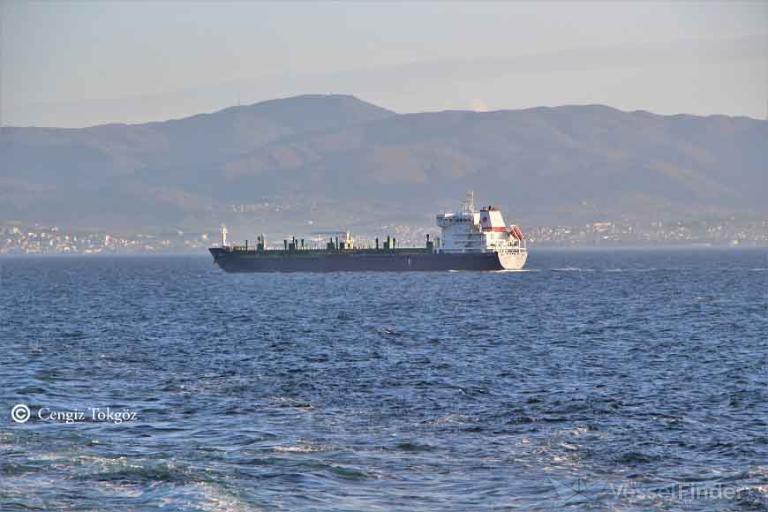t.esra (Bitumen Tanker) - IMO 9679878, MMSI 271043916, Call Sign TCA3220 under the flag of Turkey