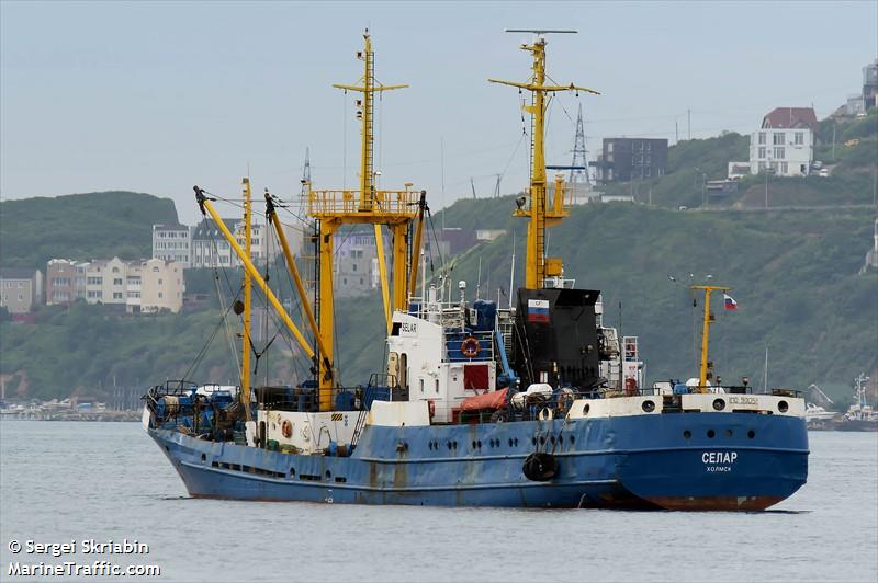 sargan (Refrigerated Cargo Ship) - IMO 9101352, MMSI 273561800, Call Sign UGOL under the flag of Russia