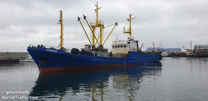 triada (Fish Carrier) - IMO 9101869, MMSI 273812060, Call Sign UFKE under the flag of Russia