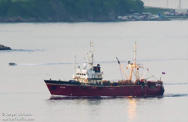 ossora (Fishing Vessel) - IMO 8721856, MMSI 273845610, Call Sign UDKI under the flag of Russia