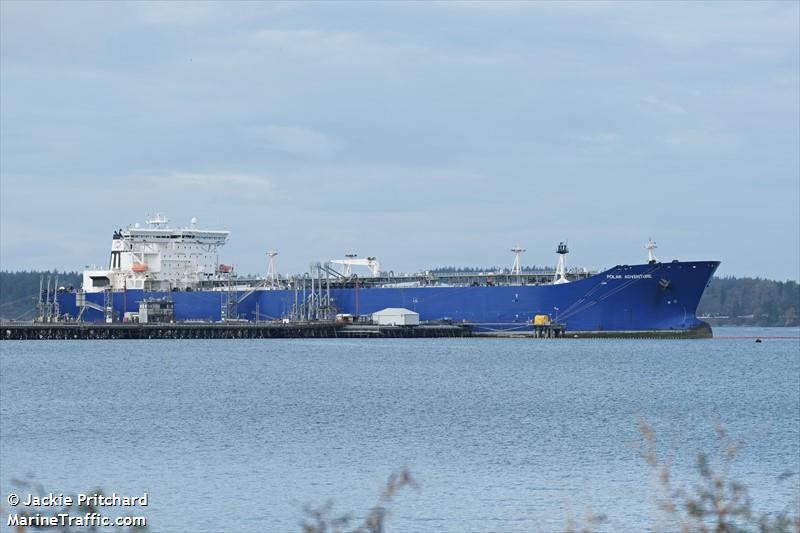 polar adventure (Crude Oil Tanker) - IMO 9244063, MMSI 303031000, Call Sign WAZV under the flag of Alaska