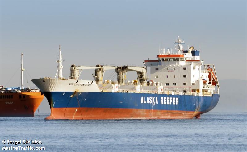 wellington star (Refrigerated Cargo Ship) - IMO 8917584, MMSI 311668000, Call Sign C6TJ9 under the flag of Bahamas