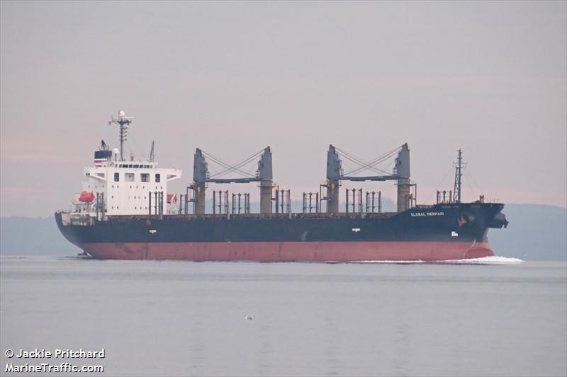 global mermaid (Bulk Carrier) - IMO 9392157, MMSI 370295000, Call Sign 3FCM4 under the flag of Panama