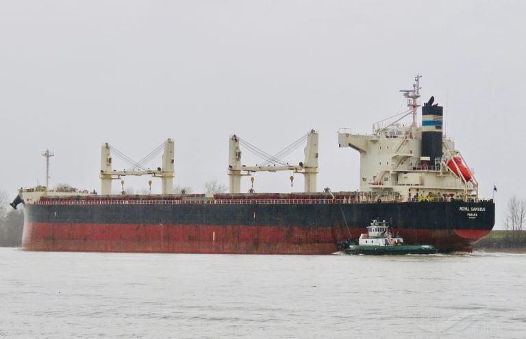 mv royal samurai (Bulk Carrier) - IMO 9425899, MMSI 370534000, Call Sign HPML under the flag of Panama