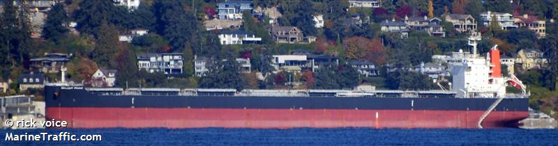 brilliant knight (Bulk Carrier) - IMO 9878149, MMSI 374136000, Call Sign 3FJG6 under the flag of Panama