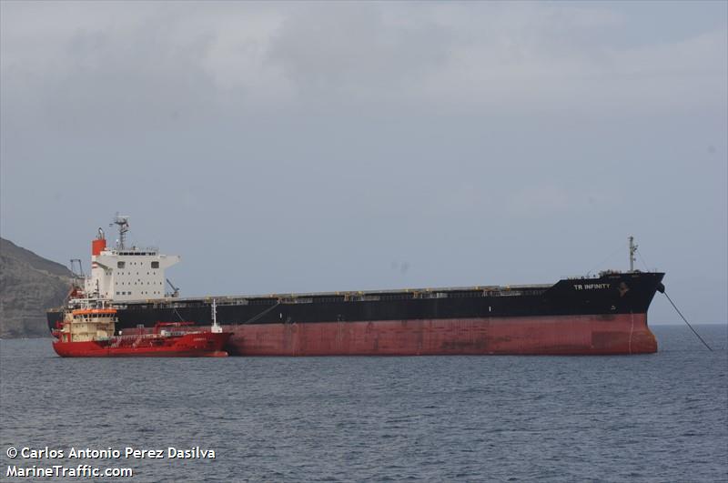 tr infinity (Bulk Carrier) - IMO 9738791, MMSI 374165000, Call Sign 3EMR7 under the flag of Panama