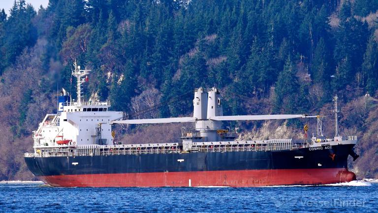 cosmic ace (General Cargo Ship) - IMO 9779927, MMSI 374353000, Call Sign 3EDH6 under the flag of Panama
