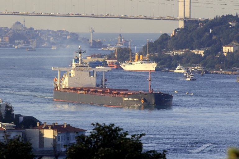 sunny conakry (Bulk Carrier) - IMO 9226633, MMSI 374897000, Call Sign 3FLA8 under the flag of Panama