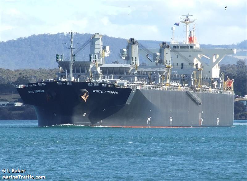 white kingdom (Wood Chips Carrier) - IMO 9325075, MMSI 432606000, Call Sign 7JCG under the flag of Japan