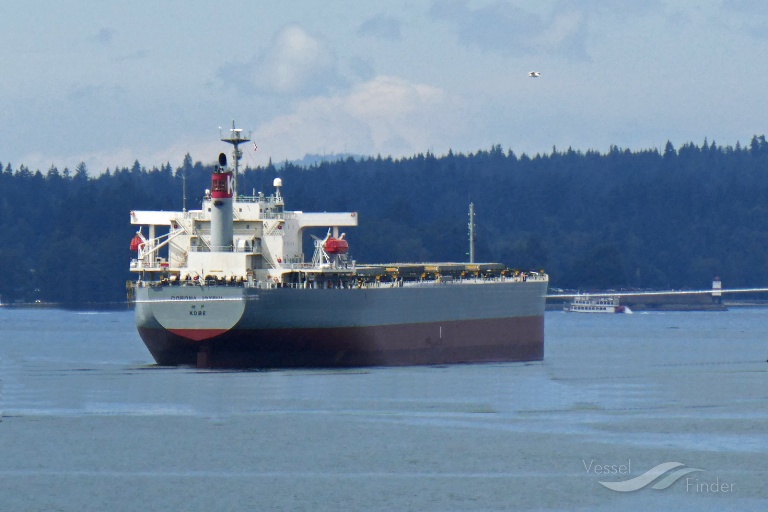 corona joyful (Bulk Carrier) - IMO 9272905, MMSI 432921000, Call Sign 7JPJ under the flag of Japan