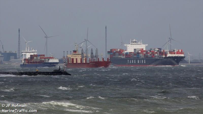 ym masculinity (Container Ship) - IMO 9485007, MMSI 636015183, Call Sign A8ZD2 under the flag of Liberia