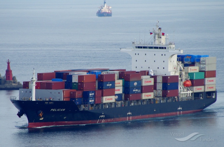 pelican (Container Ship) - IMO 9626560, MMSI 636015481, Call Sign D5BA3 under the flag of Liberia