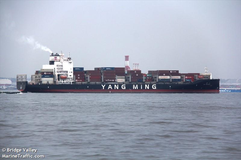 ym continent (Container Ship) - IMO 9864514, MMSI 636019893, Call Sign D5WQ7 under the flag of Liberia