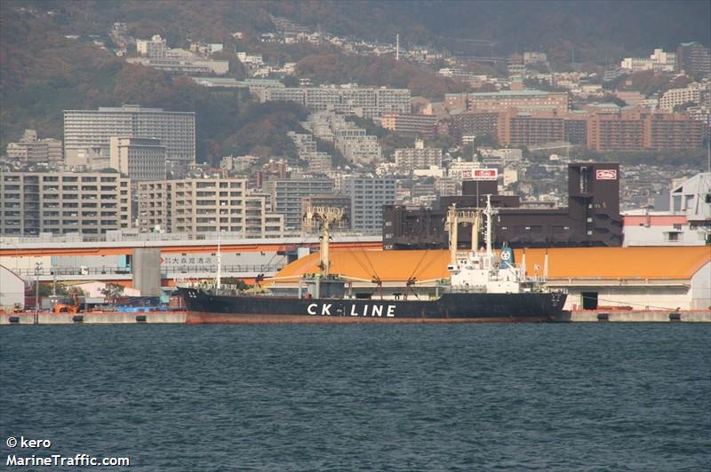 hmm st petersburg (Container Ship) - IMO 9868364, MMSI 440486000, Call Sign D7JX under the flag of Korea