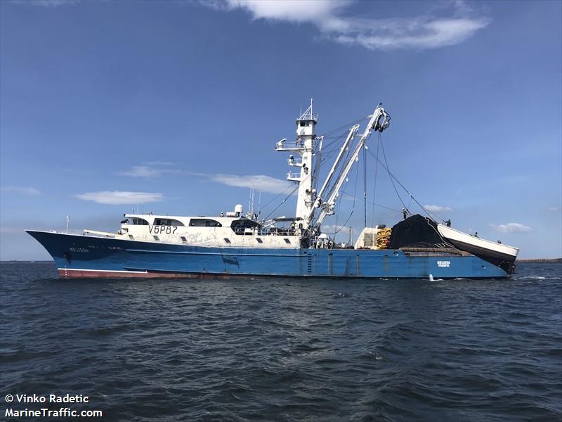 melissa (Fishing Vessel) - IMO 8030453, MMSI 510056000, Call Sign V6P87 under the flag of Micronesia