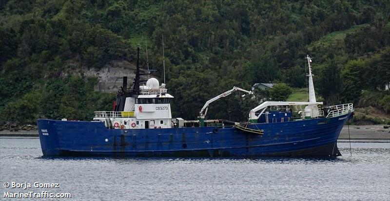 paniahue (Cargo ship) - IMO , MMSI 725007700, Call Sign CB5273 under the flag of Chile