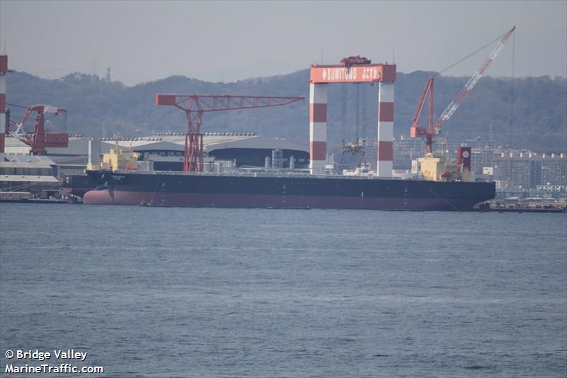 tamanaco (Crude Oil Tanker) - IMO 9552501, MMSI 775094000, Call Sign YYME under the flag of Venezuela