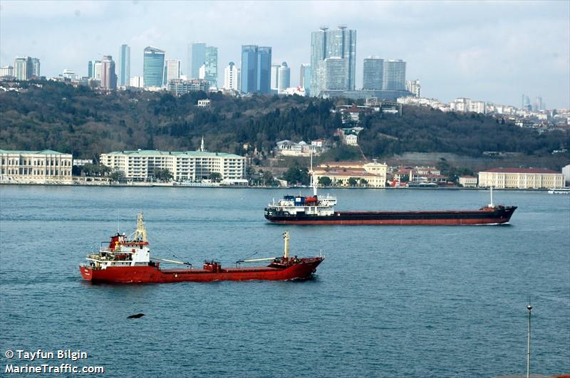 anna (General Cargo Ship) - IMO 9040962, MMSI 511101315, Call Sign T8A4634 under the flag of Palau