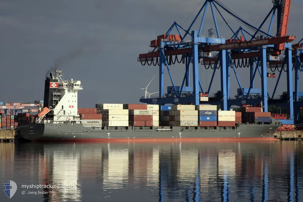 ava d (Container Ship) - IMO 9306225, MMSI 255705000, Call Sign CQGB under the flag of Madeira