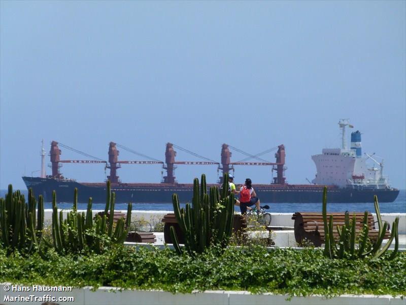 niledutch antwerpen (Container Ship) - IMO 9612791, MMSI 209616000, Call Sign 5BGA5 under the flag of Cyprus