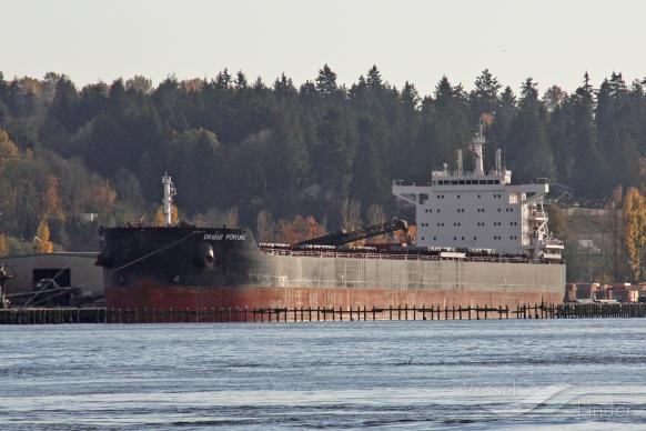 anglo barinthus (Bulk Carrier) - IMO 9660566, MMSI 232012553, Call Sign MCFT5 under the flag of United Kingdom (UK)