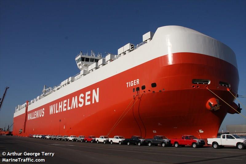tiger (Cargo ship) - IMO 9505039, MMSI 248223000, Call Sign 9HA2271 under the flag of Malta