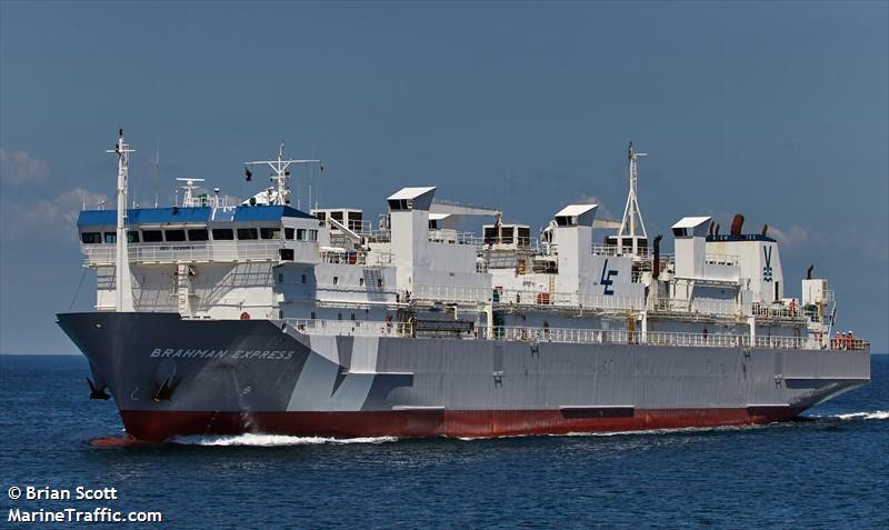brahman express (Livestock Carrier) - IMO 9238416, MMSI 253639000, Call Sign LXFF under the flag of Luxembourg