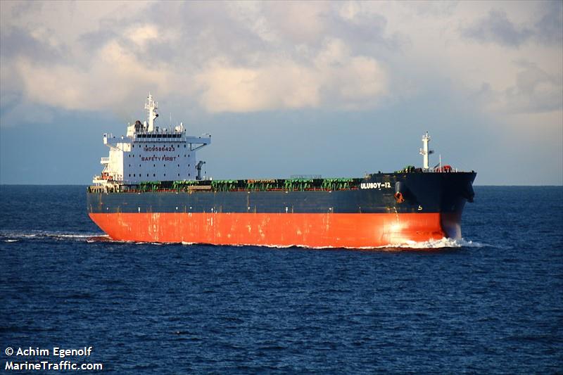 ulusoy-12 (Bulk Carrier) - IMO 9586423, MMSI 271042567, Call Sign TCZU5 under the flag of Turkey