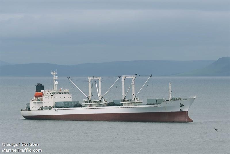 andromeda (Refrigerated Cargo Ship) - IMO 9000364, MMSI 273378130, Call Sign UBQM4 under the flag of Russia