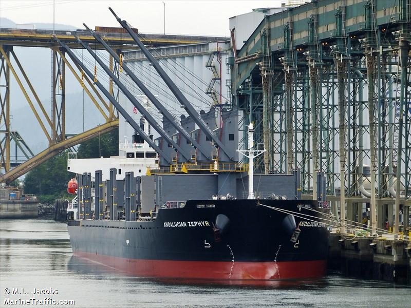 amethyst (Bulk Carrier) - IMO 9667526, MMSI 351739000, Call Sign 3EMT7 under the flag of Panama
