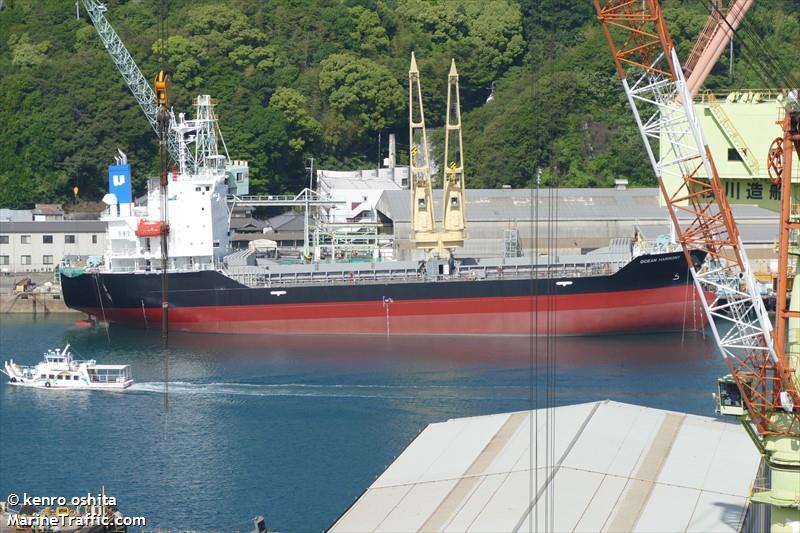 ocean harmony (General Cargo Ship) - IMO 9800752, MMSI 353898000, Call Sign 3EJX4 under the flag of Panama