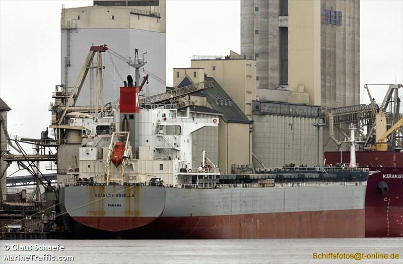 scarlet rosella (Bulk Carrier) - IMO 9609627, MMSI 355872000, Call Sign HOXV under the flag of Panama