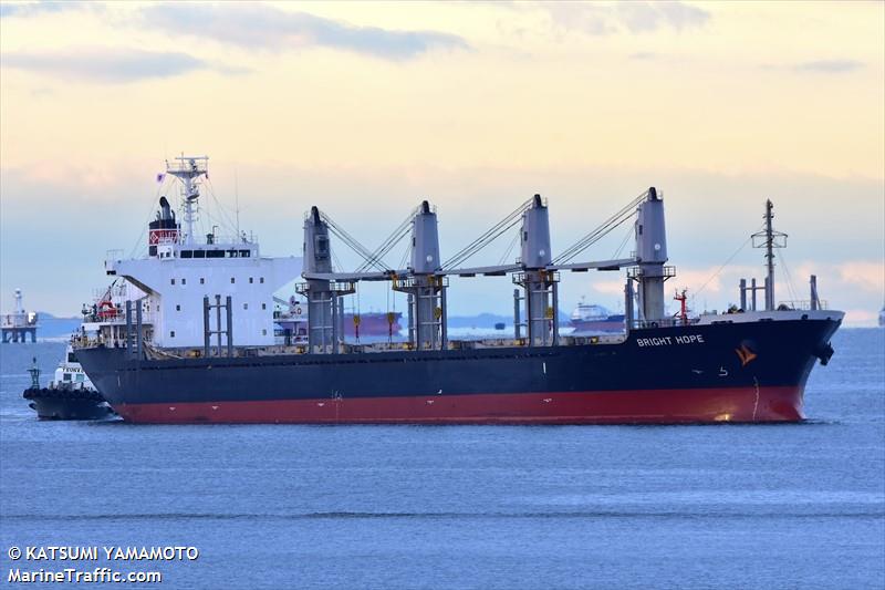 bright hope (Bulk Carrier) - IMO 9573945, MMSI 371117000, Call Sign HPTM under the flag of Panama