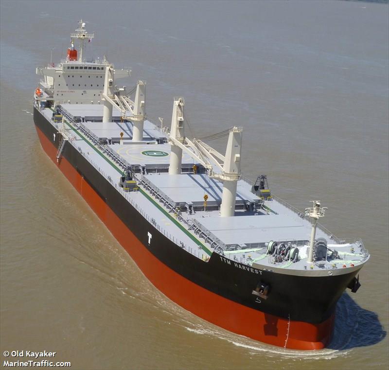 ttm harvest (Bulk Carrier) - IMO 9514028, MMSI 373190000, Call Sign 3FKJ under the flag of Panama