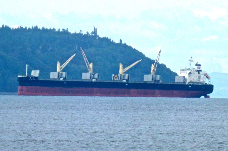 tai spring (Bulk Carrier) - IMO 9771092, MMSI 373965000, Call Sign 3EDA3 under the flag of Panama