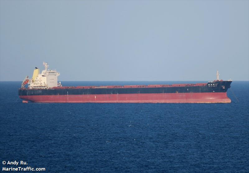 xin qi xiang 217 (Bulk Carrier) - IMO 9629811, MMSI 413243670, Call Sign BIAM4 under the flag of China