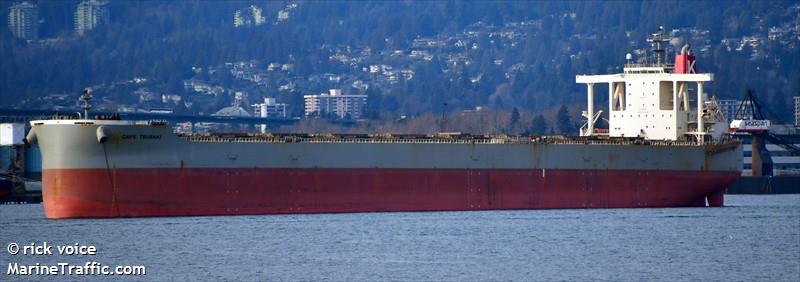 cape tsubaki (Bulk Carrier) - IMO 9482249, MMSI 432767000, Call Sign 7JHK under the flag of Japan