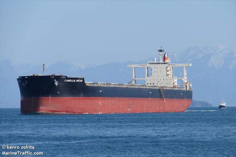 camellia dream (Bulk Carrier) - IMO 9568017, MMSI 432992000, Call Sign 7JRP under the flag of Japan