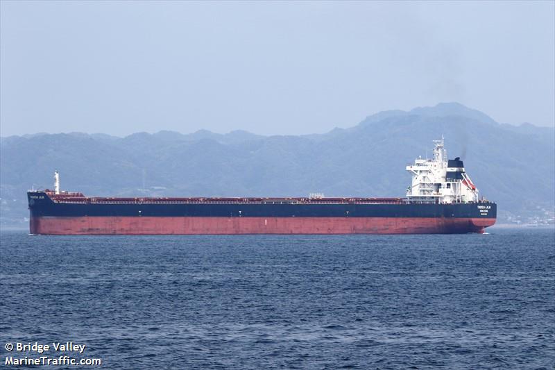 theresa jilin (Bulk Carrier) - IMO 9603972, MMSI 477311400, Call Sign VRKM6 under the flag of Hong Kong