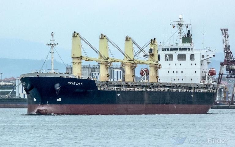 assay (General Cargo Ship) - IMO 9370422, MMSI 538008010, Call Sign V7RP5 under the flag of Marshall Islands