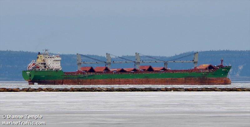 wigeon (Bulk Carrier) - IMO 9358395, MMSI 636016656, Call Sign D5HD9 under the flag of Liberia