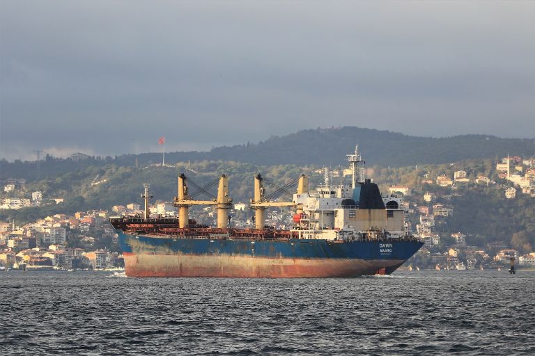 leonidas (Bulk Carrier) - IMO 9293686, MMSI 636019098, Call Sign D5SX8 under the flag of Liberia