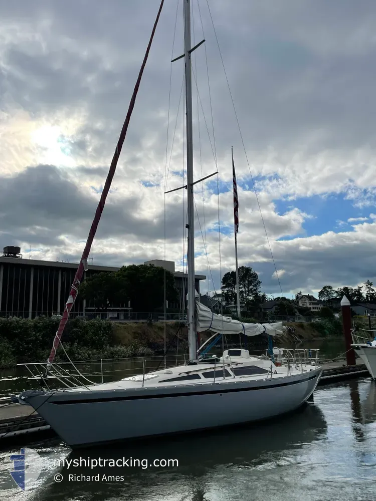 aquila (Sailing vessel) - IMO , MMSI 338414982 under the flag of USA