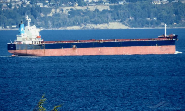 bellemar (Bulk Carrier) - IMO 9376385, MMSI 209411000, Call Sign 5BMA3 under the flag of Cyprus