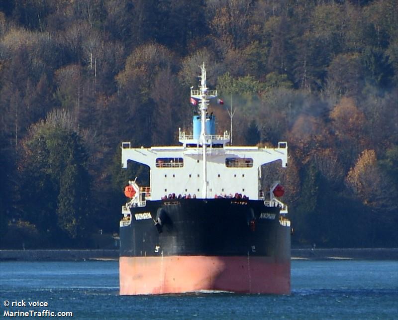 nikomarin (Bulk Carrier) - IMO 9401506, MMSI 212914000, Call Sign C4UF2 under the flag of Cyprus