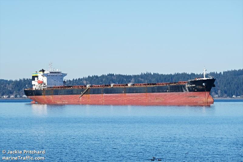 catalina (Bulk Carrier) - IMO 9299604, MMSI 215850000, Call Sign 9HDE8 under the flag of Malta