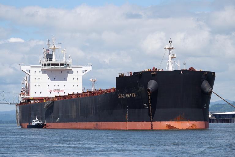 star betty (Bulk Carrier) - IMO 9589683, MMSI 311000398, Call Sign C6BY2 under the flag of Bahamas
