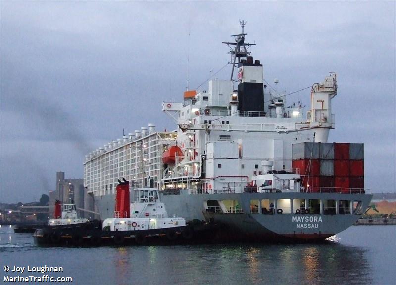 maysora (Livestock Carrier) - IMO 8310542, MMSI 311042000, Call Sign C6RI4 under the flag of Bahamas