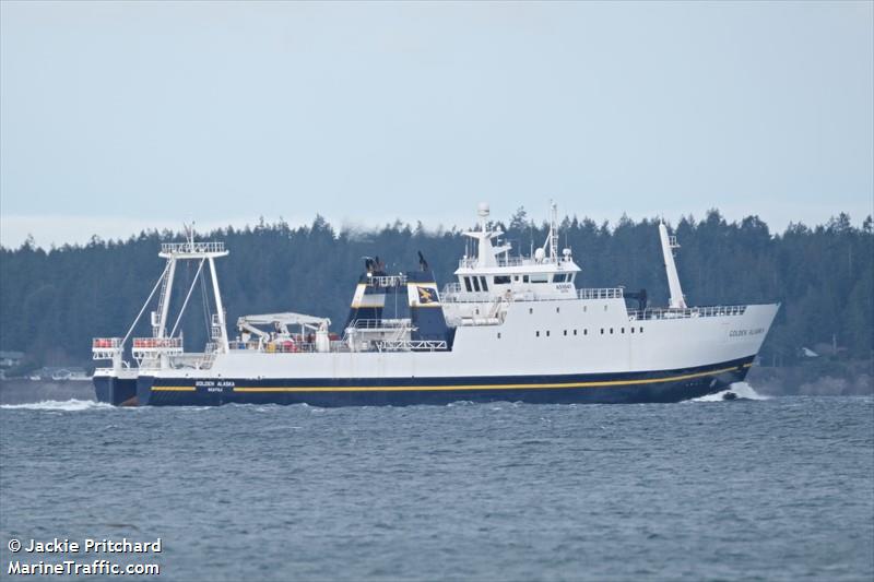golden alaska (Fish Factory Ship) - IMO 7229710, MMSI 338132000, Call Sign WDI2020 under the flag of USA