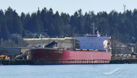 palma bulker (Bulk Carrier) - IMO 9311191, MMSI 352604000, Call Sign 3FWR under the flag of Panama